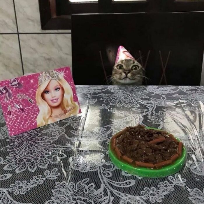 Cat wearing party hat behind a decorated birthday cake