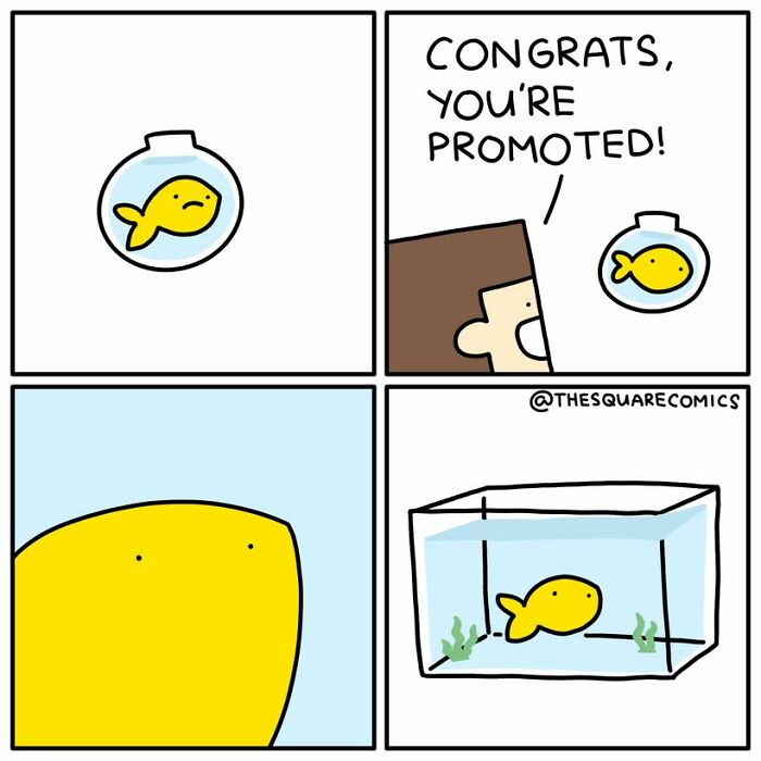 A comic showing a goldfish being promoted from a small bowl to a larger tank, humorously depicting new comics and common complaints.