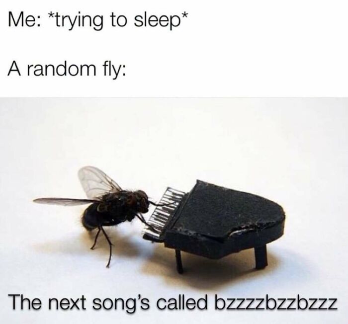 This Facebook Page Shares The Funniest And Cutest Animal Memes On The Internet, And Here Are 50 Of The Best Ones