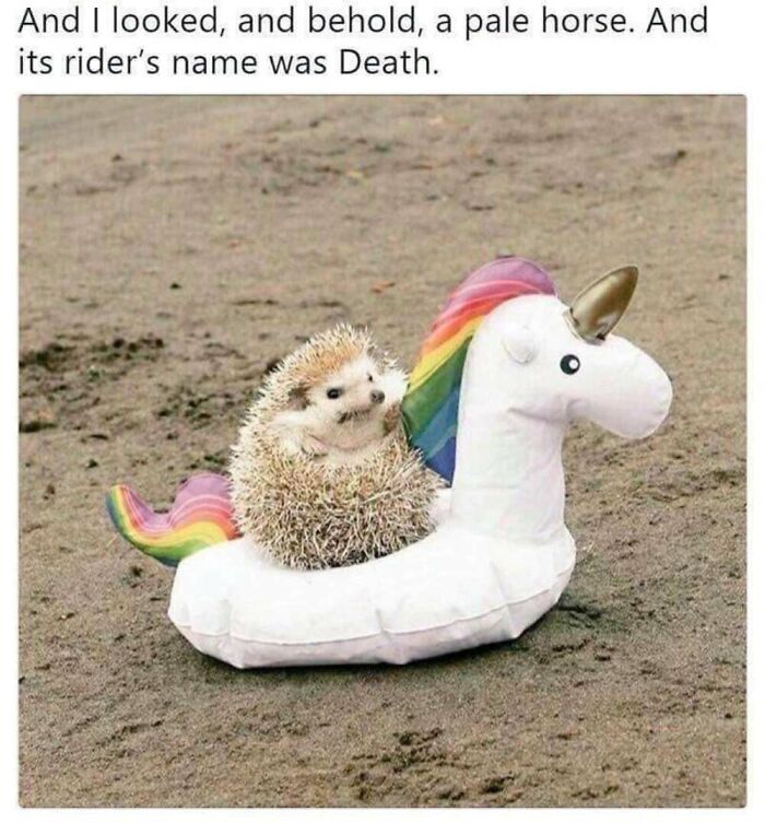 This Facebook Page Shares The Funniest And Cutest Animal Memes On The Internet, And Here Are 50 Of The Best Ones