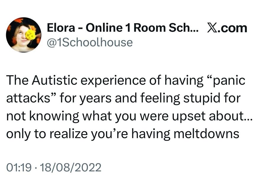 A tweet describing the autistic experience of meltdowns mistaken for panic attacks, shared for autistic people.