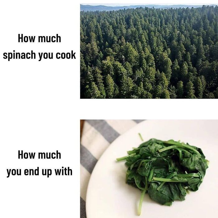 Hilarious vegan meme comparing a forest to a small plate of spinach, illustrating vegan humor.