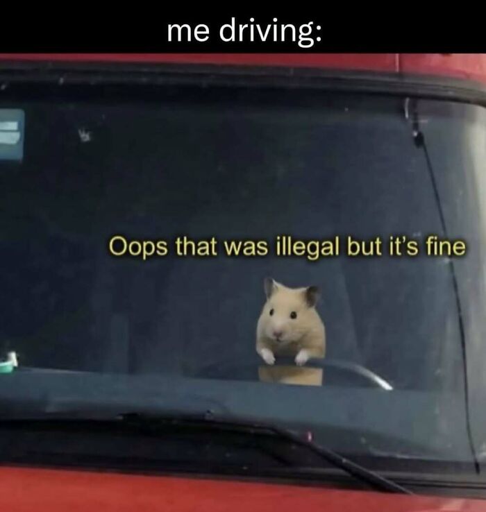 This Facebook Page Shares The Funniest And Cutest Animal Memes On The Internet, And Here Are 50 Of The Best Ones