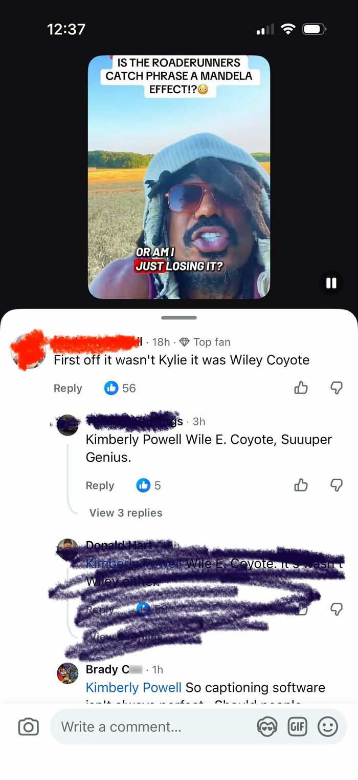 People online correcting someone about the spelling of Wile E. Coyote.