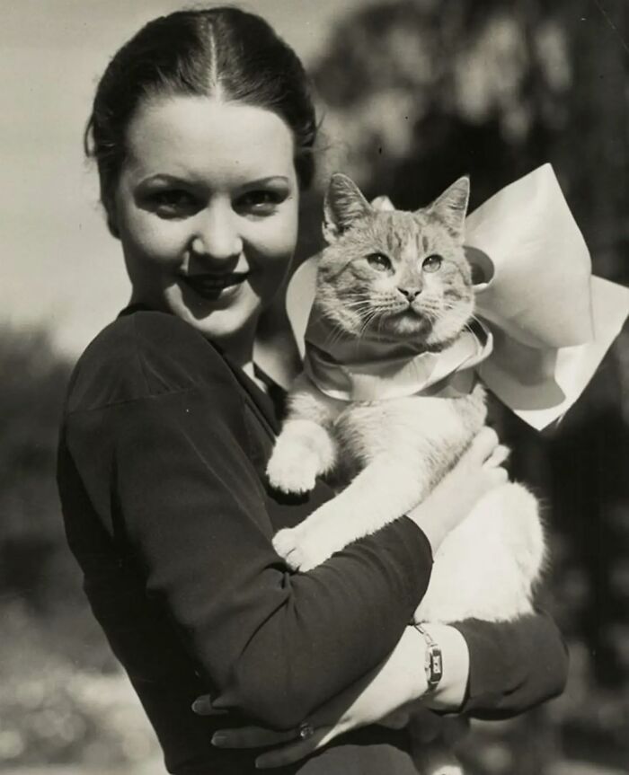 30 More Vintage Cat Photos That Prove Our Love For Cats Hasn't Changed In Over A Century