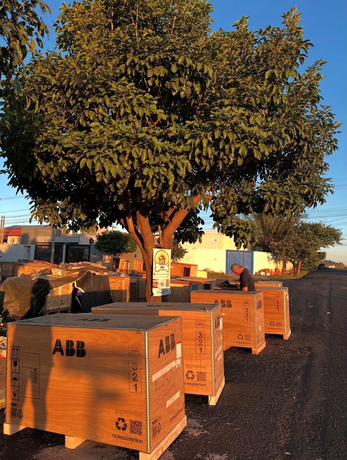 A truck driver from Brazil building animal shelters from wooden boxes on a sunny street. A truck driver from Brazil building animal shelters from wooden boxes on a sunny street.