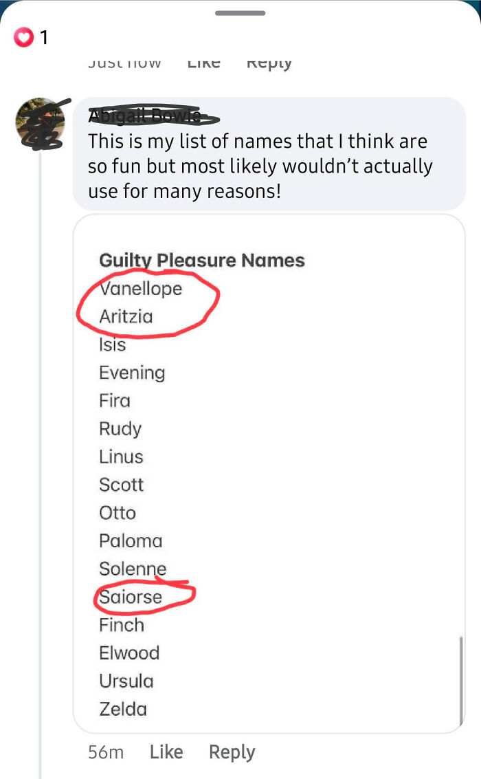 A social media post showing a list of guilty pleasure names, with Vanellope and Saiorse circled, suggesting parents find these names abominations.