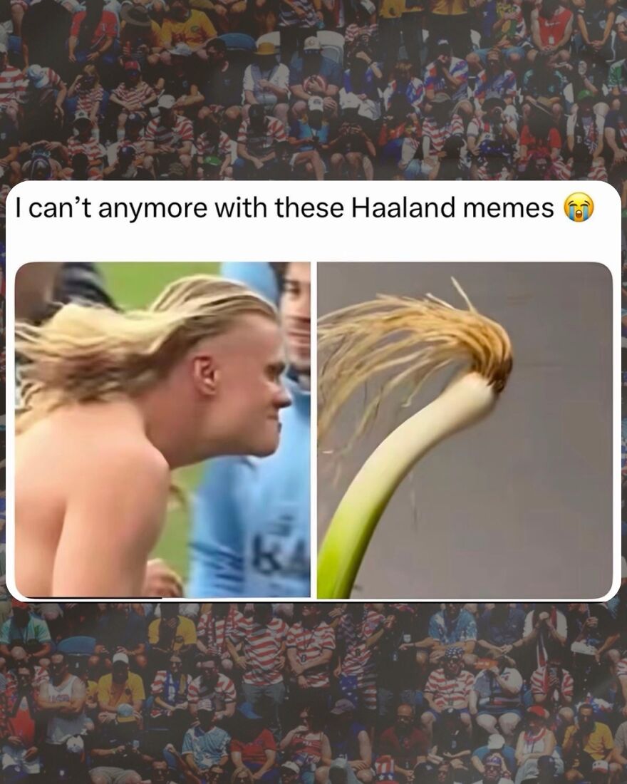 A World Cup meme comparing a football player's hair to a spring onion, showcasing humorous Haaland memes.