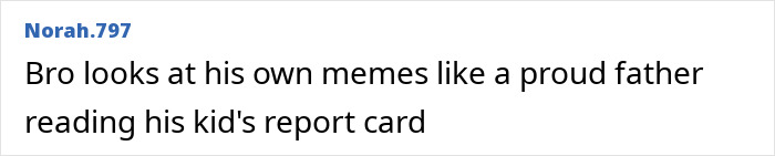Image of a fan comment about Erling Haaland looking at his memes like a proud father.