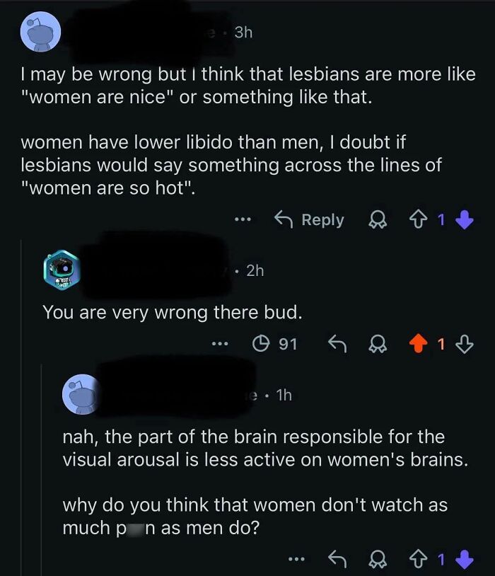 People correcting someone online about s****l orientation and libido, demonstrating satisfying corrections.