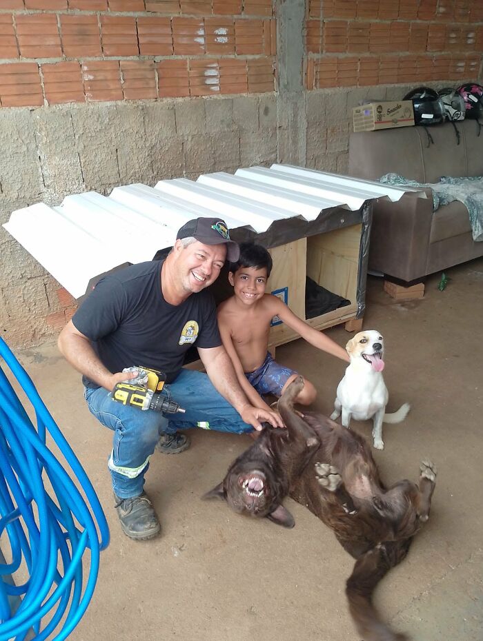 A truck driver from Brazil and a boy with happy dogs and an animal shelter made from recycled materials. A truck driver from Brazil and a boy with happy dogs and an animal shelter made from recycled materials.