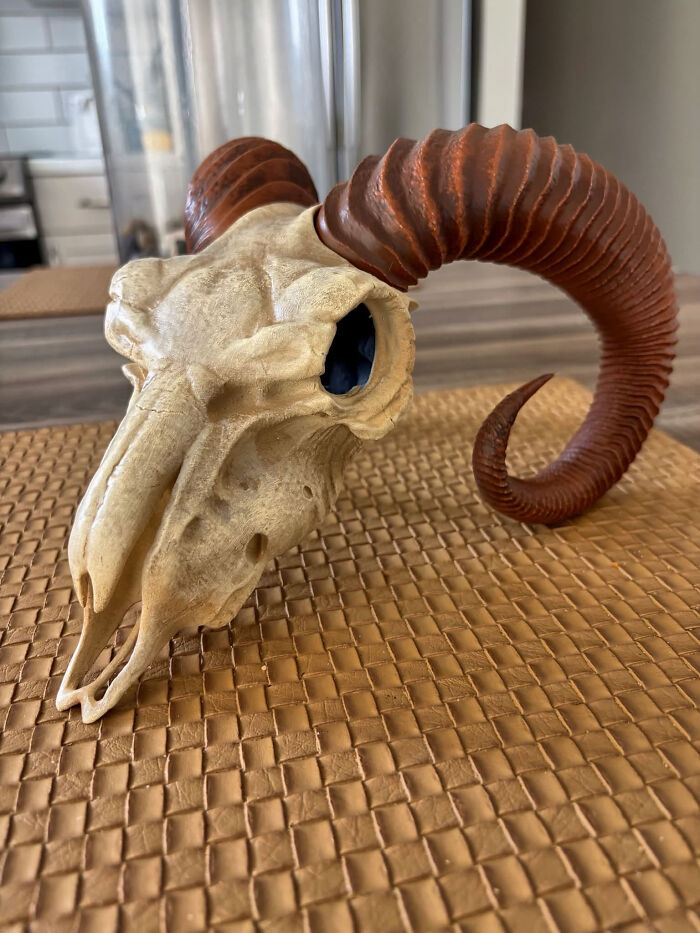 A realistic ram skull, intricately crafted with a 3D printer, showcasing impressive detail and horns.