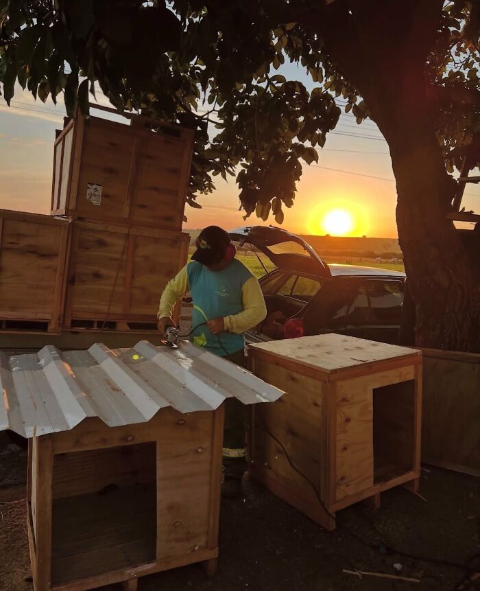 A truck driver from Brazil works on building shelters for animals at sunset. A truck driver from Brazil works on building shelters for animals at sunset.