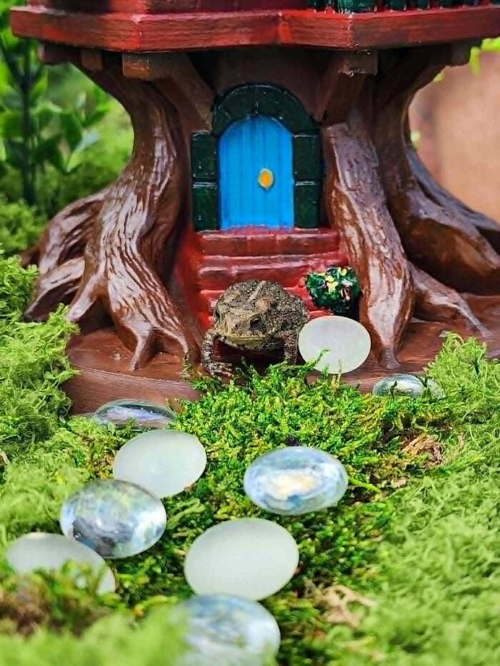 A charming, miniature tree house with a blue door, created with a 3D printer, nestled in moss with a toad.