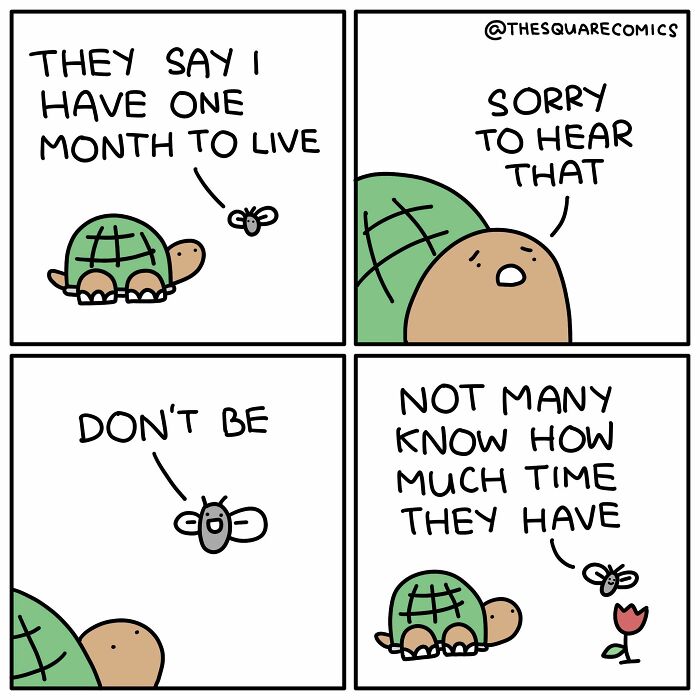 A comic with a fly and turtle discussing life and time, a humorous take on common complaints.