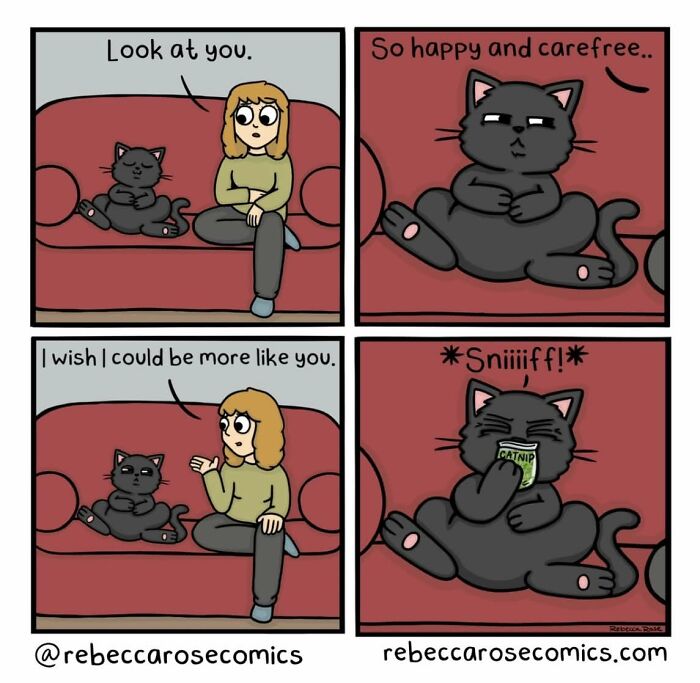 A Rebecca Rose comic of a person wishing to be like a carefree cat with catnip, illustrating awkward and laugh-out-loud situations.