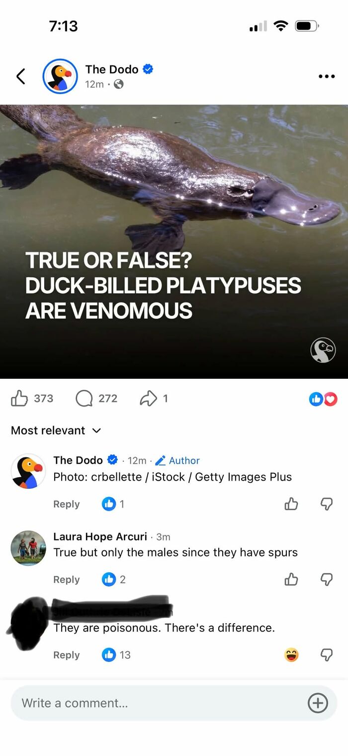 Social media post asking about venomous platypuses, with people correcting the answer online.
