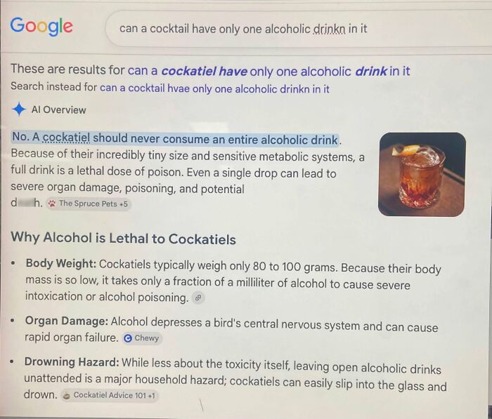 A Google search result showing incorrect information about a cocktail for a bird, corrected online.
