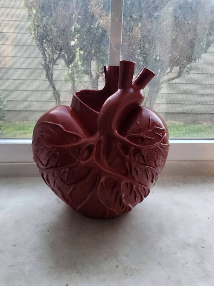 A 3D printed anatomical heart sculpture on a windowsill, a cool and useful decorative piece.