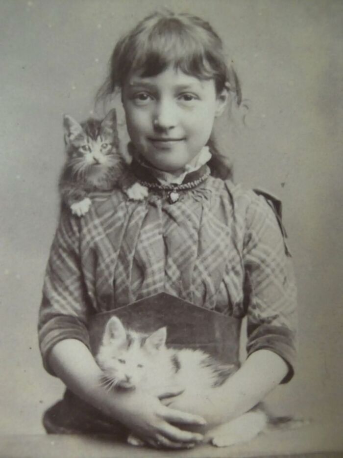 30 More Vintage Cat Photos That Prove Our Love For Cats Hasn't Changed In Over A Century