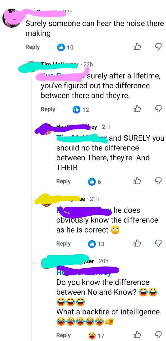 A Know-It-All corrects another user on the use of 'there', 'they're', and 'their', then is corrected on 'no' and 'know'.