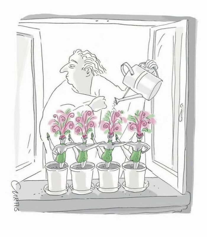 50 Clever One-Panel Comics By Kate Curtis That Turn Everyday Moments Into Brilliant Laughs