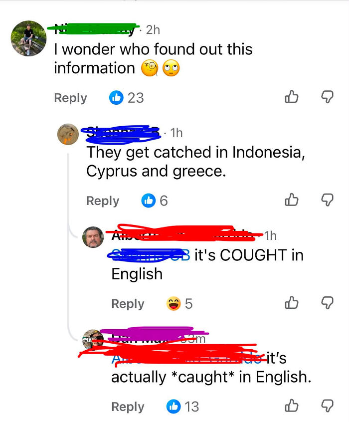 A Know-It-All corrects a user's spelling of 'caught' in English, providing the proper form.