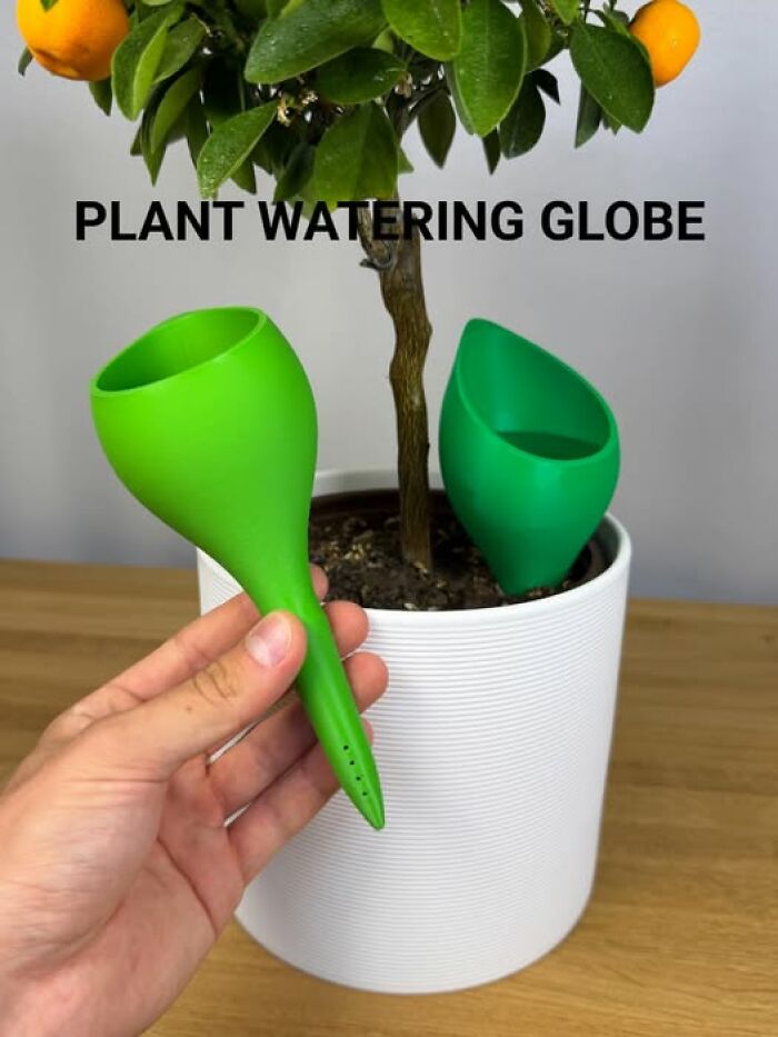 Green 3D printer created plant watering globe helps nurture a small citrus tree in a white pot.