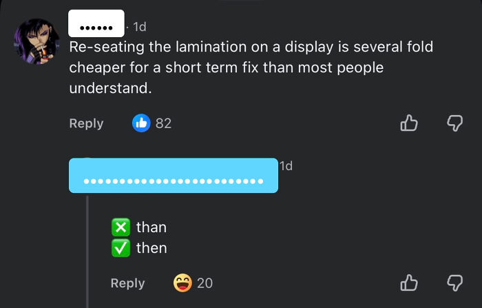 A social media screenshot shows a know-it-all correcting the use of then instead of than in a comment.