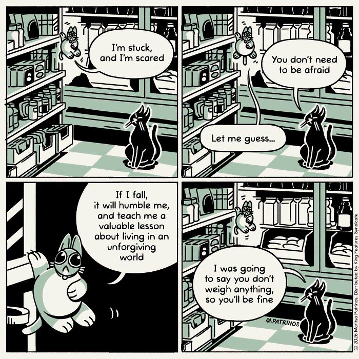 Cartoon of cats with jobs, one stuck on a shelf, the other offering practical advice.