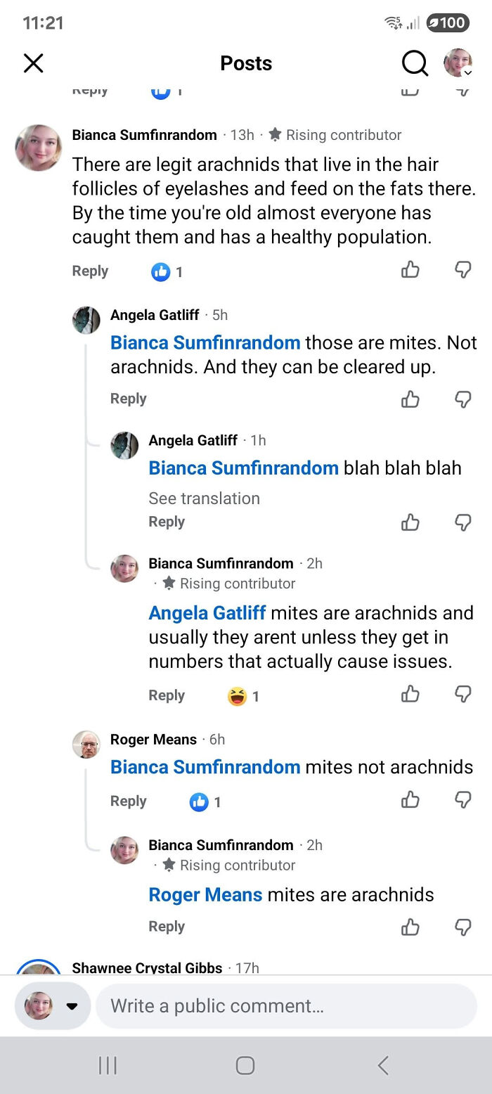 A social media screenshot shows multiple know-it-alls correcting each other on whether mites are arachnids.