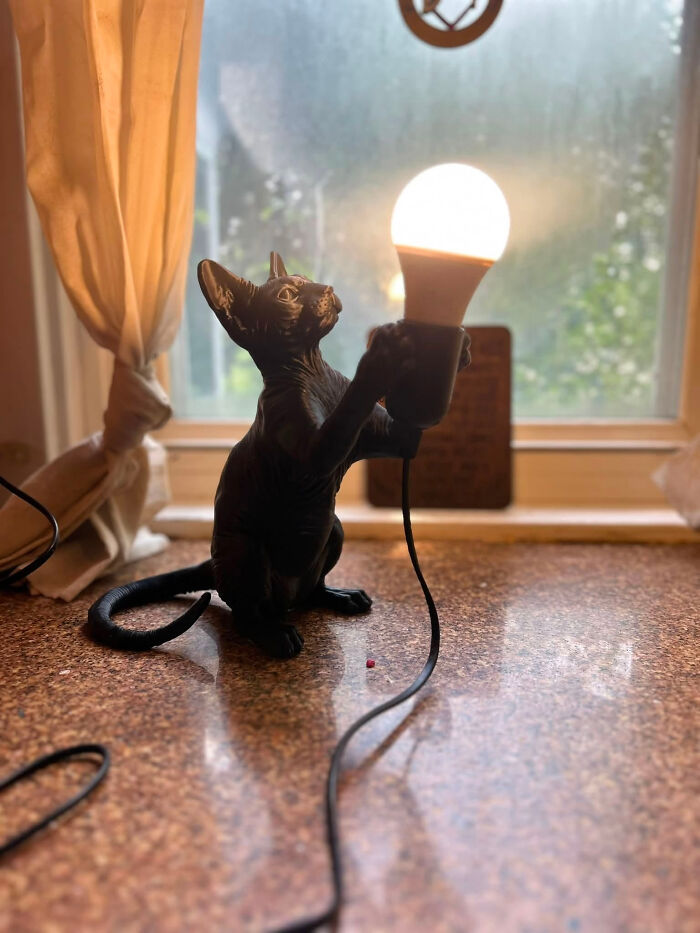 A black sphinx cat figure, created with a 3D printer, holding an illuminated light bulb on a countertop.