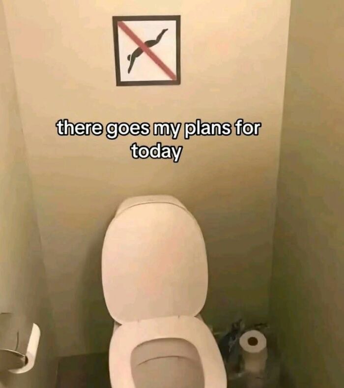 A sign prohibiting diving above a toilet, an image representing America's cultural decline into idiocy.