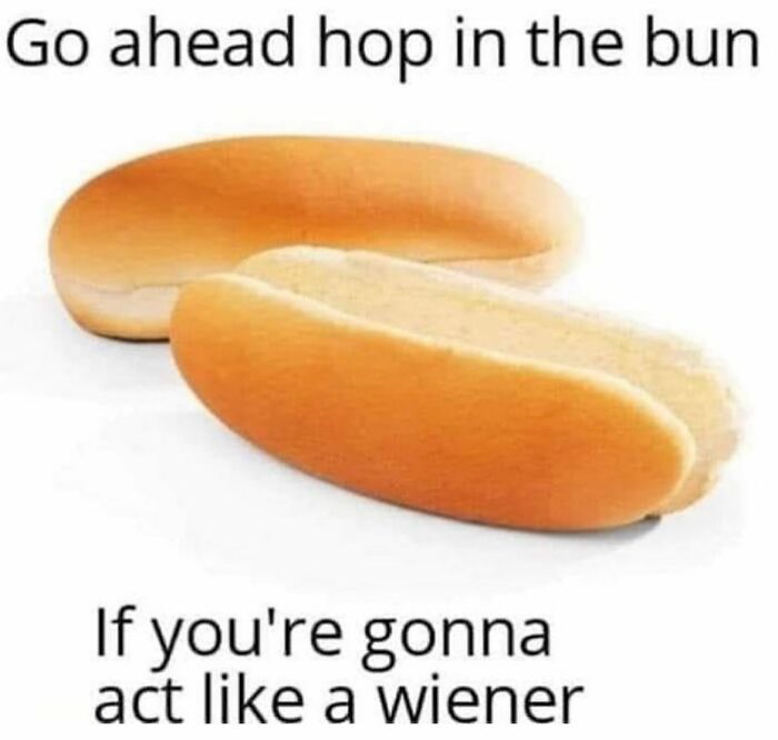 A weird meme with two hot dog buns and text saying: Go ahead hop in the bun If you're gonna act like a wiener.