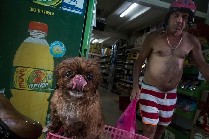 This Photographer Roams The Streets Looking For Unforgettable Dog Moments, And Here Are 50 Of His Best Finds