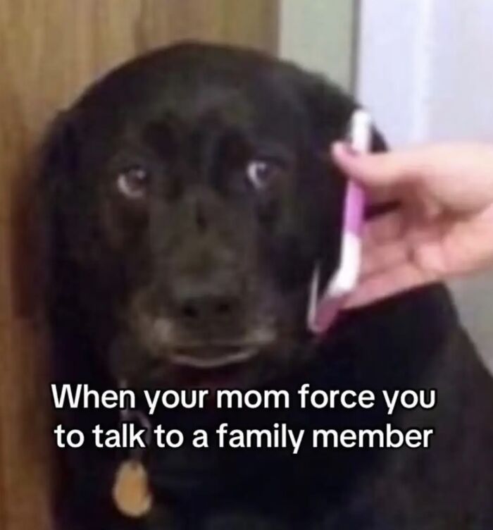 A relatable meme of a dog with a phone to its ear, expressing discomfort when forced to talk to family, boosting morale.
