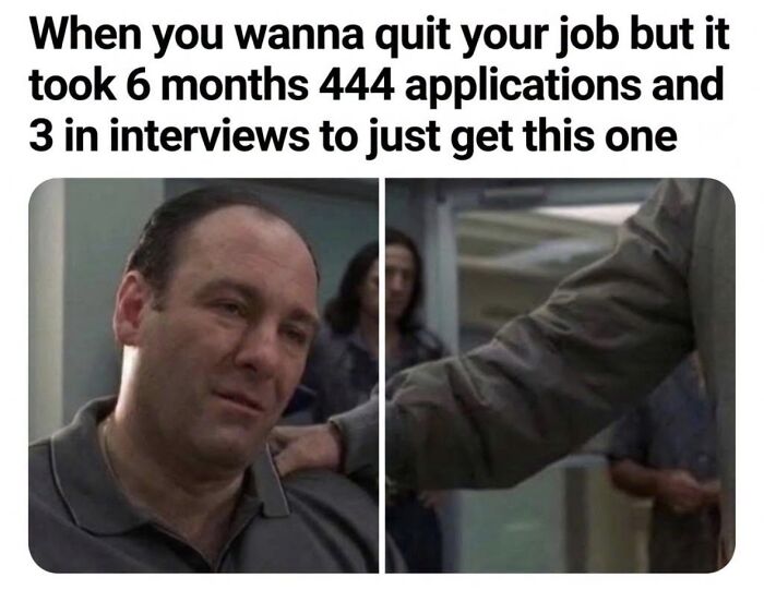 A relatable meme of Tony Soprano looking disappointed, with text about the struggle of keeping a job after many applications.