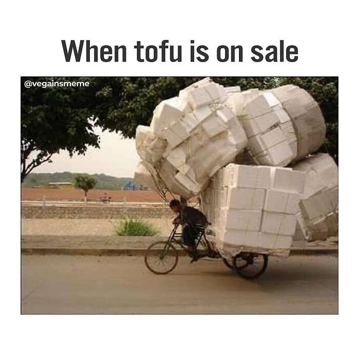 A funny vegan meme showing a person on a bicycle carrying a massive stack of boxes, symbolizing buying a lot of tofu when it's on sale.