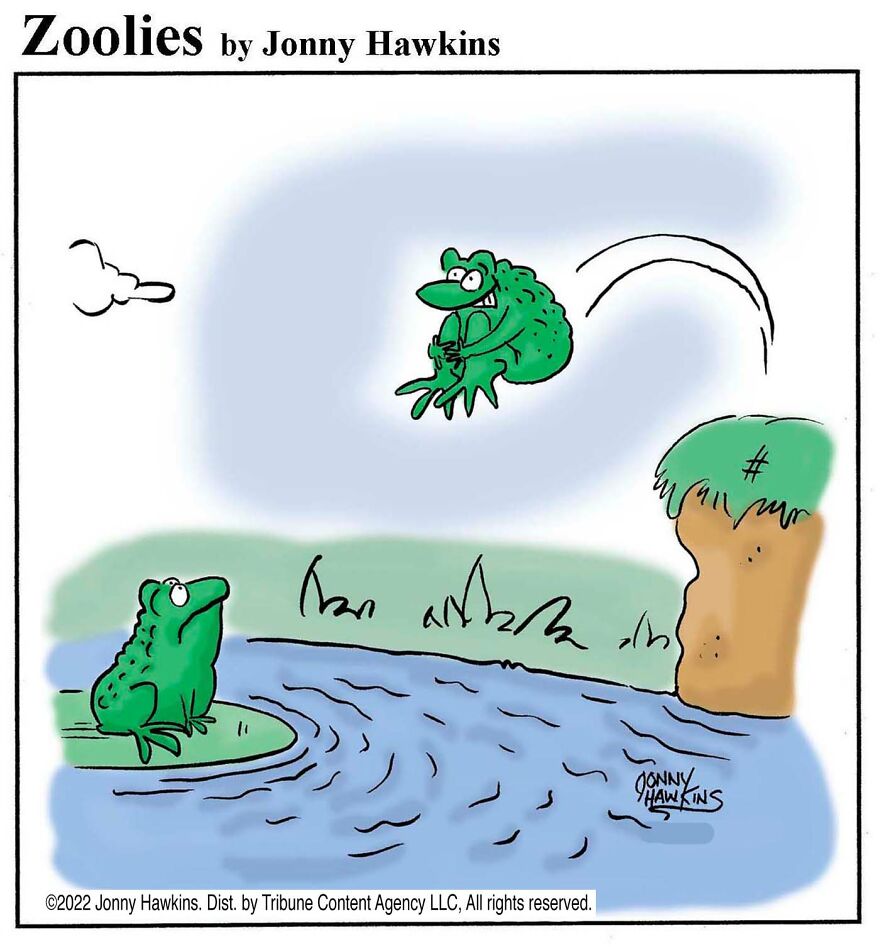 Frog Cannonball