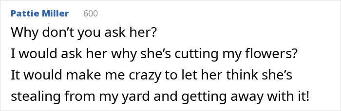 Screenshot of Pattie Miller's comment questioning the entitled neighbor about stealing from the garden.