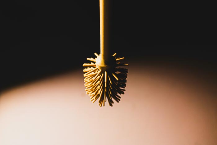 A close-up of a toilet brush, illustrating the concept of being unhygienic.