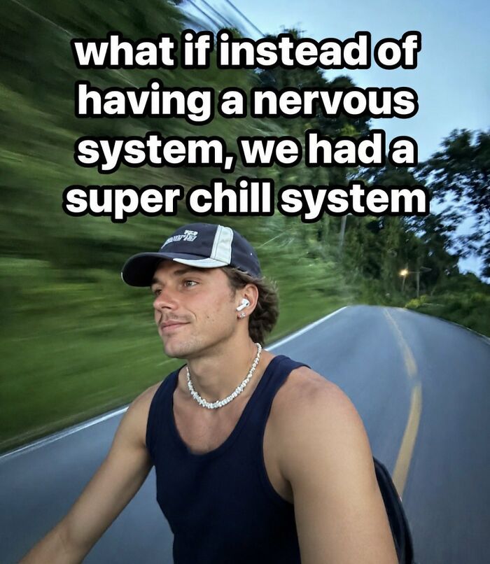 A relatable meme of a man on a road, pondering having a 'super chill system' instead of a nervous one.