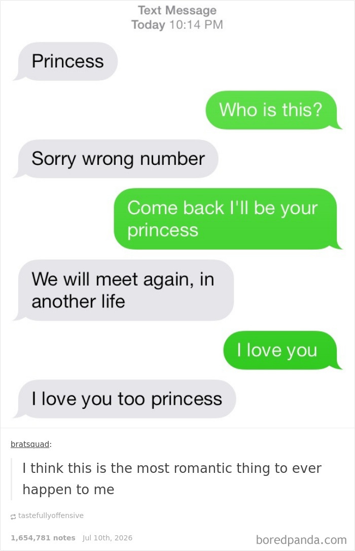 A wrong number text message exchange with a person trying to flirt, ending in hilarious chaos with a romantic twist.