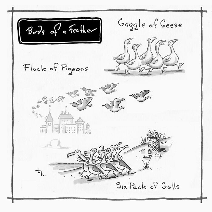 Tim Haggerty's single-panel cartoon illustrates collective nouns for birds, showcasing sharp humor.