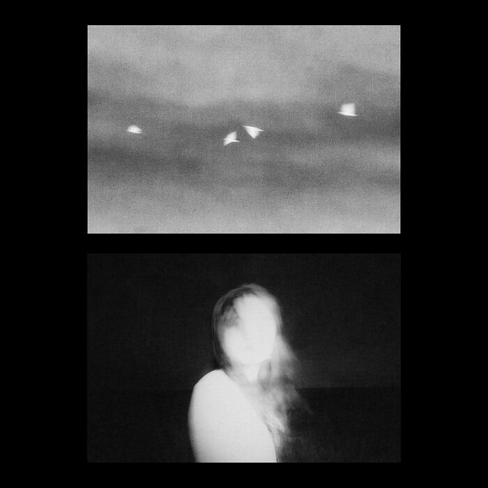 Best black and white photographs: a diptych showing birds in flight above and a blurry figure below.