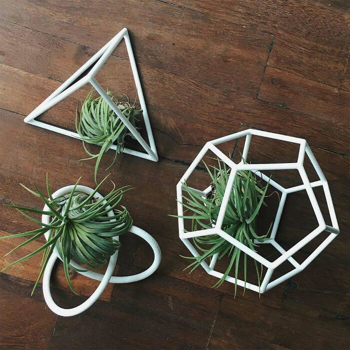 Three geometric white 3D printing plant holders with air plants, showcasing amazing creations in home decor.