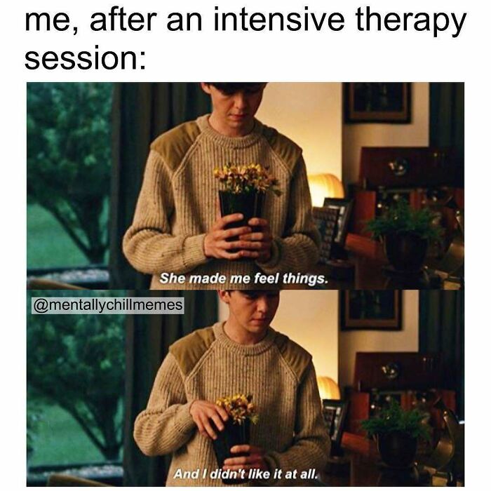 A two-panel meme after an intensive therapy session, showing She made me feel things and I didn't like it at all, illustrating the I'm fine and oh no state.