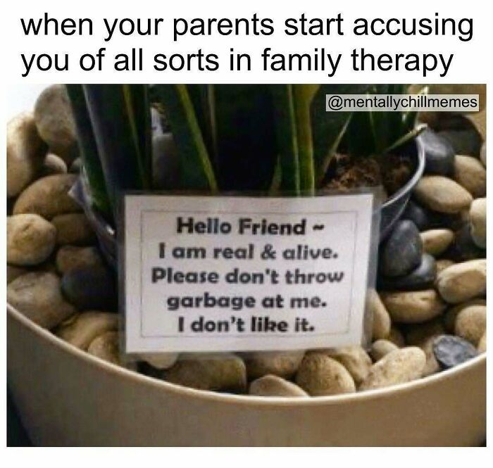 A meme showing a plant with a sign saying Hello Friend, I am real & alive. Please don't throw garbage at me. I don't like it, symbolizing mental well-being in family therapy.