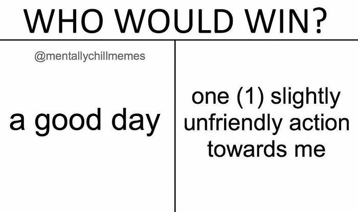 A split meme asking Who would win? between a good day and one slightly unfriendly action towards me, reflecting the I'm fine and oh no feeling.
