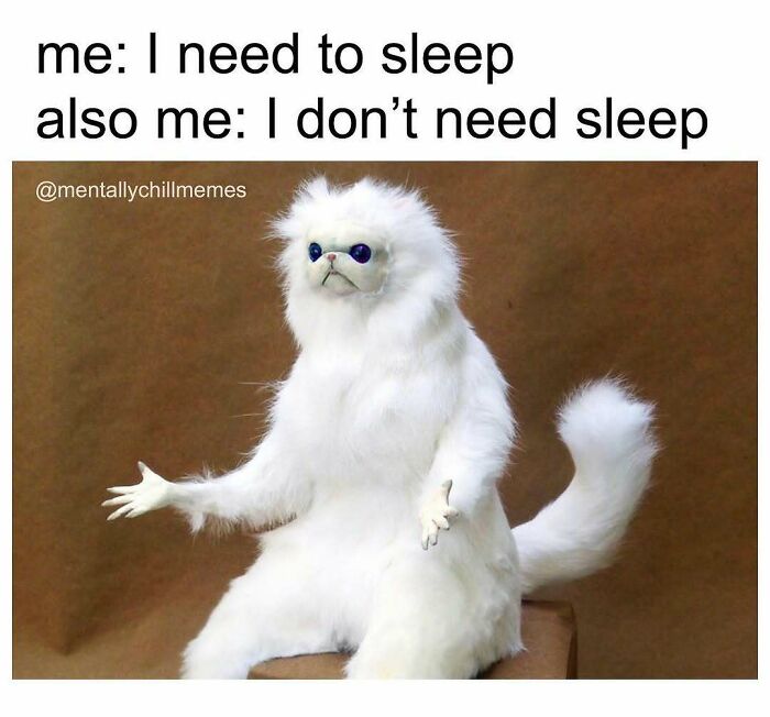 A white fluffy monkey meme with blue eyes and wide stance, showcasing mental memes and the feeling of 'I'm fine' or 'oh no'.